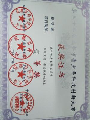 《中學(xué)生自我認(rèn)識現(xiàn)狀調(diào)查》小組研究性課題榮獲成都市一等獎 - 學(xué)生活動 - 思品組 - 雙流中學(xué)實(shí)驗(yàn)學(xué)校歡迎你!